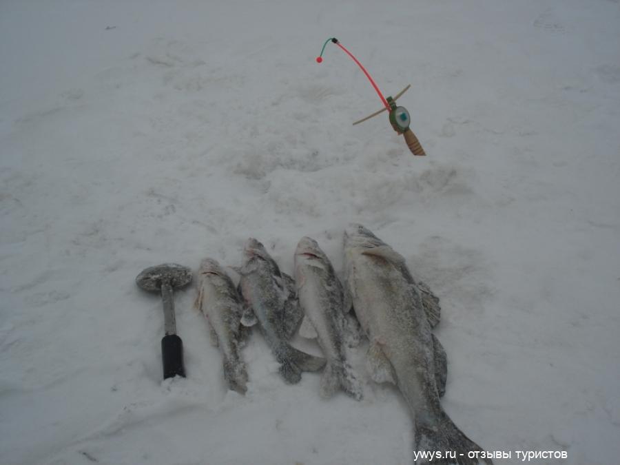 Зимняя рыбалка под автомобильным мостом в Костроме