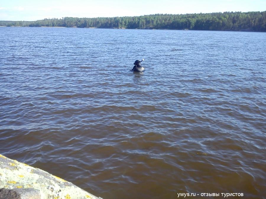 Подводная охота в Ладожском озере. Весенний запрет на рыбалку закончился, можно и поохотиться.