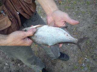 Рыбалка на Ладожском озере